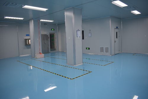筑牢食品安全防线 坚实车间净化工程助力膨化食品厂品质升级